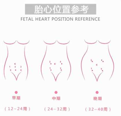 胎儿胎心快(胎儿胎心快是什么原因造成的啊?孕八个月多了,要做什么检查好) 第1张 胎儿胎心快(胎儿胎心快是什么原因造成的啊?孕八个月多了,要做什么检查好) 第1张