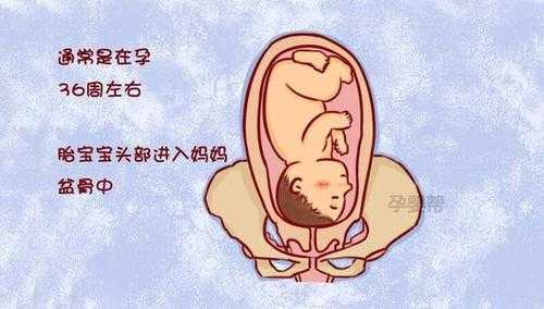 怀孕几个月胎儿入盆呢?一般情况什么时候胎儿入盆,孕晚期胎儿入盆是什么感觉和症状 第1张 怀孕几个月胎儿入盆呢?一般情况什么时候胎儿入盆,孕晚期胎儿入盆是什么感觉和症状 第1张
