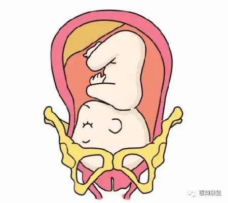 怀孕几个月胎儿入盆呢?一般情况什么时候胎儿入盆,孕晚期胎儿入盆是什么感觉和症状 第2张 怀孕几个月胎儿入盆呢?一般情况什么时候胎儿入盆,孕晚期胎儿入盆是什么感觉和症状 第2张