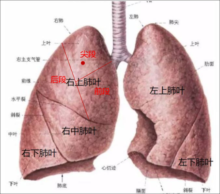 怀孕时打促肺针后来足月顺产出来,孩子应该没事吧,胎儿肺成熟度的指标 第2张 怀孕时打促肺针后来足月顺产出来,孩子应该没事吧,胎儿肺成熟度的指标 第2张