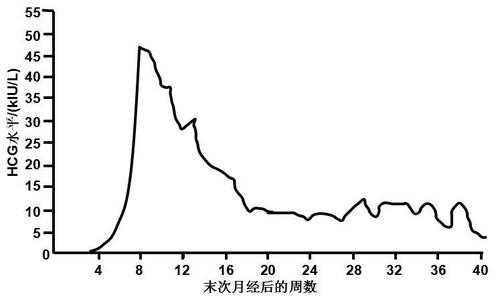 孕期hcg变化(孕期hcg变化曲线图) 第3张 孕期hcg变化(孕期hcg变化曲线图) 第3张