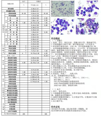 胎儿基因突变(CEBPA基因突变是什么) 第3张 胎儿基因突变(CEBPA基因突变是什么) 第3张