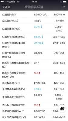 孕期红细胞低(孕期红细胞低怎么回事) 第1张 孕期红细胞低(孕期红细胞低怎么回事) 第1张