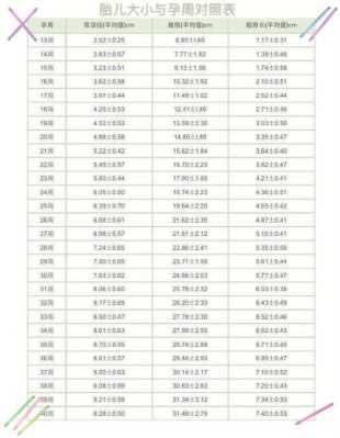 胎儿24周630克正常吗,24周胎儿体重多少克正常 第2张 胎儿24周630克正常吗,24周胎儿体重多少克正常 第2张