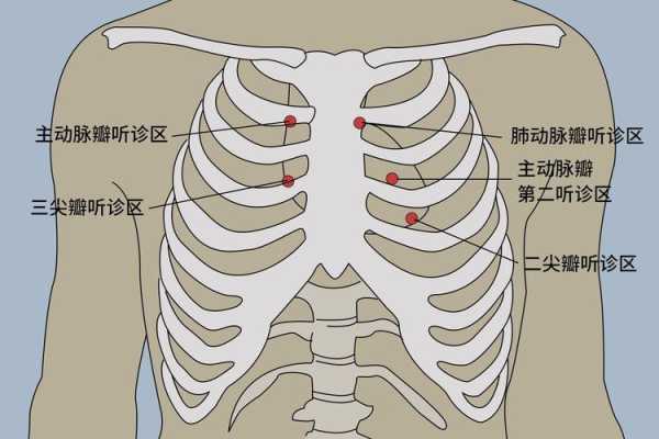 胎儿心音（胎儿心音听诊正确的是）  第1张