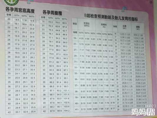36周胎儿腹围(胎儿腹围多少是合适) 第3张 36周胎儿腹围(胎儿腹围多少是合适) 第3张