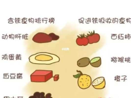 孕期缺铁怎么办(孕妇缺铁吃什么食物可以补得快) 第3张 孕期缺铁怎么办(孕妇缺铁吃什么食物可以补得快) 第3张
