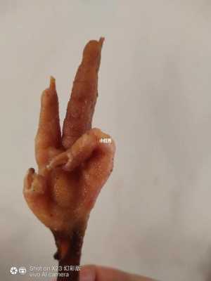 为什么怀孕不能吃鸡爪子,孕妇吃鸡爪胎儿畸形 第3张 为什么怀孕不能吃鸡爪子,孕妇吃鸡爪胎儿畸形 第3张