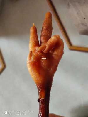 为什么怀孕不能吃鸡爪子,孕妇吃鸡爪胎儿畸形 第2张 为什么怀孕不能吃鸡爪子,孕妇吃鸡爪胎儿畸形 第2张