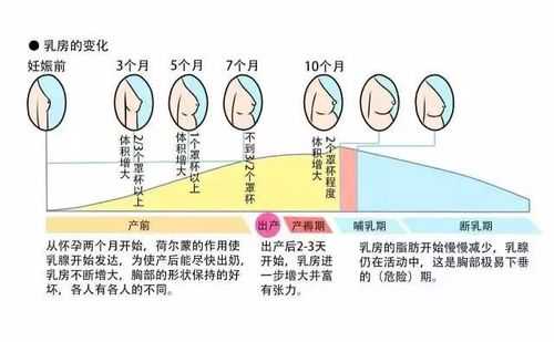 孕期乳头变化(孕期乳头变化的原因) 第2张 孕期乳头变化(孕期乳头变化的原因) 第2张