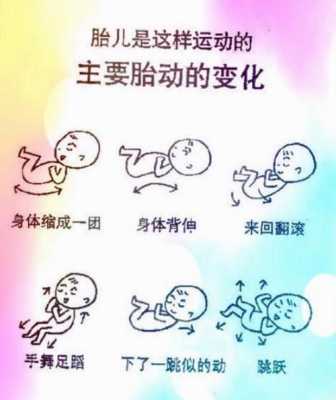 胎儿几个月胎动(胎儿几个月胎动比较频繁) 第1张 胎儿几个月胎动(胎儿几个月胎动比较频繁) 第1张