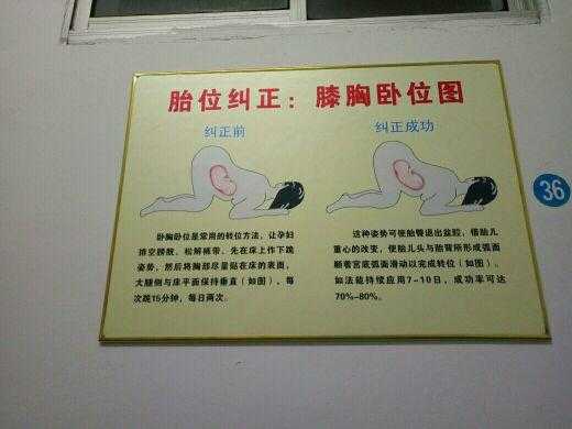 胎儿趴(孕妇趴着调整胎位该怎么做好) 第1张 胎儿趴(孕妇趴着调整胎位该怎么做好) 第1张