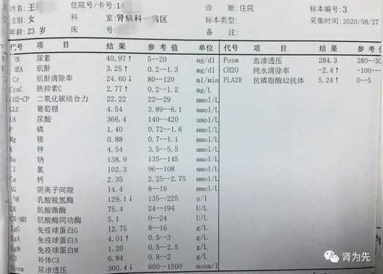 连续两年尿素氮偏低是肾功能不全的表现吗,孕期尿素低怎么回事  第2张