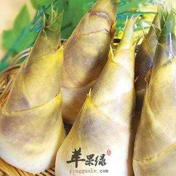 孕期可以吃笋吗(怀孕初期能吃笋吗,孕妇吃笋的好处) 第2张 孕期可以吃笋吗(怀孕初期能吃笋吗,孕妇吃笋的好处) 第2张