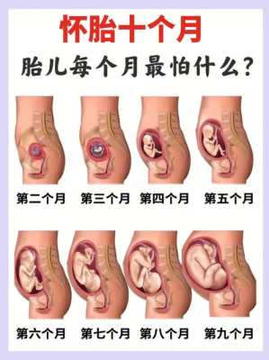 胎儿膀胱充盈(胎儿膀胱充盈是什么意思) 第2张 胎儿膀胱充盈(胎儿膀胱充盈是什么意思) 第2张