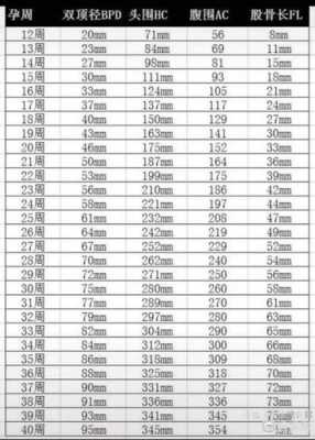 36周胎儿双顶径(36周胎儿双顶径标准值) 第1张 36周胎儿双顶径(36周胎儿双顶径标准值) 第1张