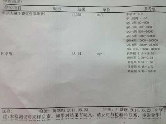 怀孕都要做哪些检查,孕期血检报告怎么看 第1张 怀孕都要做哪些检查,孕期血检报告怎么看 第1张