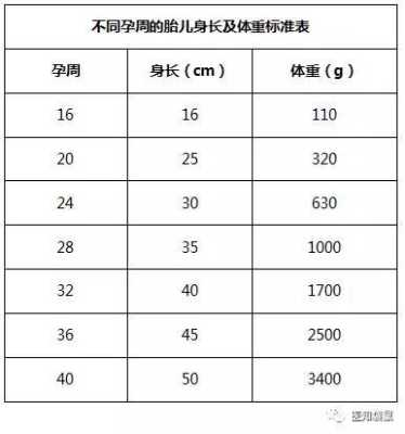 b超体重跟胎儿实际体重相差多少,胎儿体重测量公式 第1张 b超体重跟胎儿实际体重相差多少,胎儿体重测量公式 第1张