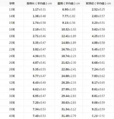 22周胎儿体重(22周胎儿体重多少正常范围) 第3张 22周胎儿体重(22周胎儿体重多少正常范围) 第3张