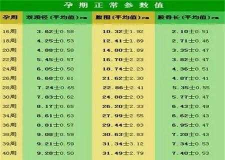胎儿fgr(胎儿fgr是什么意思) 第1张 胎儿fgr(胎儿fgr是什么意思) 第1张