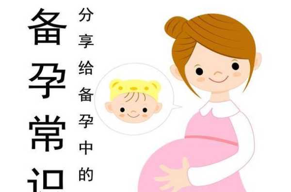 备孕期是什么意思(可以备孕啥意思) 第2张 备孕期是什么意思(可以备孕啥意思) 第2张