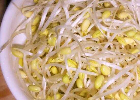 孕期能吃豆芽吗(孕妇吃豆芽好吗) 第2张 孕期能吃豆芽吗(孕妇吃豆芽好吗) 第2张