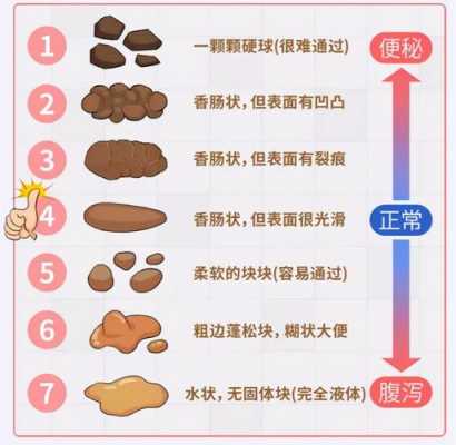 怀孕后大便次数多怎么回事,孕期屎多正常吗 第2张 怀孕后大便次数多怎么回事,孕期屎多正常吗 第2张