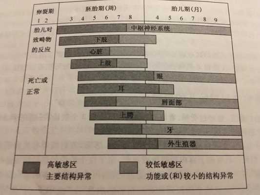 药物对胎儿的影响(药物对胎儿的影响说法正确的是) 第3张 药物对胎儿的影响(药物对胎儿的影响说法正确的是) 第3张