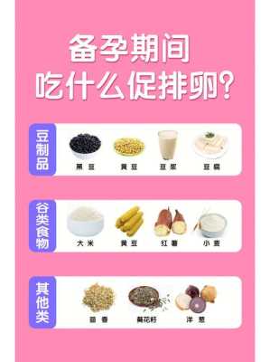 备孕期间吃什么比较好(备孕期间吃什么补卵子) 第2张 备孕期间吃什么比较好(备孕期间吃什么补卵子) 第2张