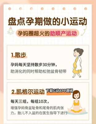 孕期可以做哪些运动(孕期可以做什么运动) 第2张 孕期可以做哪些运动(孕期可以做什么运动) 第2张