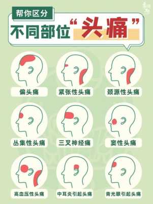 孕期偏头痛怎么办(偏头痛的原因及缓解方法) 第2张 孕期偏头痛怎么办(偏头痛的原因及缓解方法) 第2张