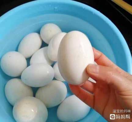 孕期吃鹅蛋好吗(孕期吃鹅蛋好吗有营养吗) 第1张 孕期吃鹅蛋好吗(孕期吃鹅蛋好吗有营养吗) 第1张