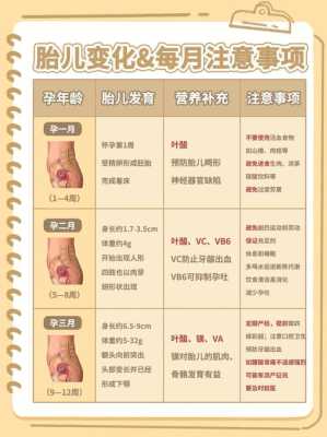 孕期有多长时间(羊的孕期有多长时间) 第3张 孕期有多长时间(羊的孕期有多长时间) 第3张