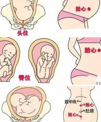 孕晚期胎儿位置(孕36周胎心位置在肚脐眼下面,胎位是什么样的) 第1张 孕晚期胎儿位置(孕36周胎心位置在肚脐眼下面,胎位是什么样的) 第1张