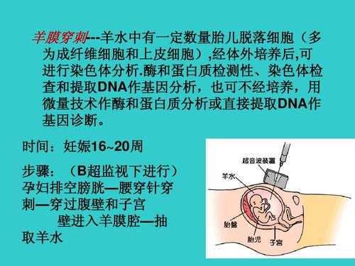 孕期上皮细胞高 第2张 孕期上皮细胞高 第2张