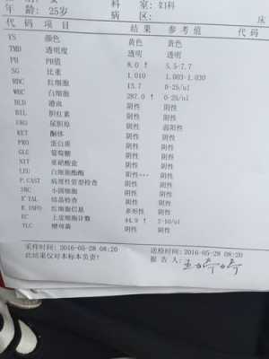 孕期上皮细胞高 第1张 孕期上皮细胞高 第1张