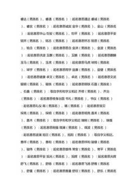 双胞胎儿子取名（双胞胎儿子取名字大全成语）  第3张