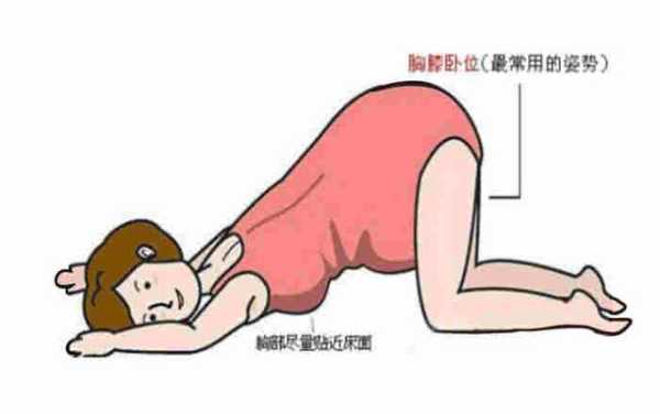 胎儿仰卧位(宝宝怎么坐起来) 第3张 胎儿仰卧位(宝宝怎么坐起来) 第3张