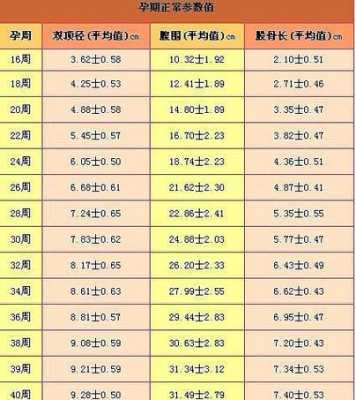 34周胎儿多大(34周胎儿标准体重应该是多少) 第3张 34周胎儿多大(34周胎儿标准体重应该是多少) 第3张