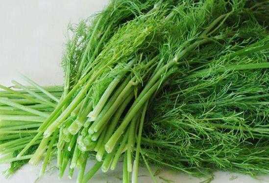 孕期能吃茴香吗(孕期能吃茴香吗有营养吗) 第2张 孕期能吃茴香吗(孕期能吃茴香吗有营养吗) 第2张