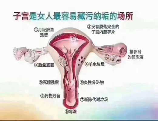 孕期外阴肿大(外阴肿大是什么原因) 第3张 孕期外阴肿大(外阴肿大是什么原因) 第3张