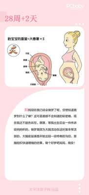 28周胎儿大小(28周胎儿大小正常范围) 第2张 28周胎儿大小(28周胎儿大小正常范围) 第2张