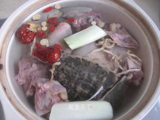 怀孕期间可以吃甲鱼炖鸡吗,孕期能吃甲鱼吗 初期  第3张