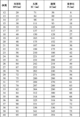23周胎儿大小(23周胎儿大小标准值) 第3张 23周胎儿大小(23周胎儿大小标准值) 第3张