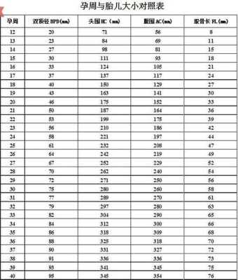23周胎儿大小(23周胎儿大小标准值) 第1张 23周胎儿大小(23周胎儿大小标准值) 第1张