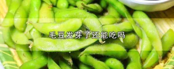 孕期可以吃毛豆吗（毛豆的热量和含糖量）  第3张