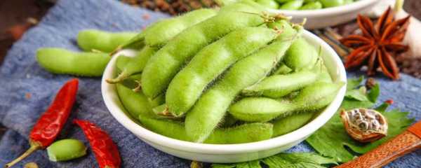 孕期可以吃毛豆吗（毛豆的热量和含糖量）  第2张