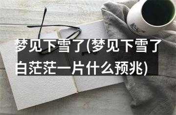 孕期梦见下雪（孕期梦见下雪有什么预兆）  第1张