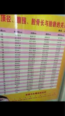 23周胎儿发育标准数据是多少,23周胎儿双顶径多少正常 第2张 23周胎儿发育标准数据是多少,23周胎儿双顶径多少正常 第2张