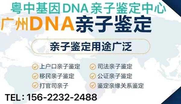 可以胎儿亲子鉴定(可以胎儿亲子鉴定) 第1张 可以胎儿亲子鉴定(可以胎儿亲子鉴定) 第1张